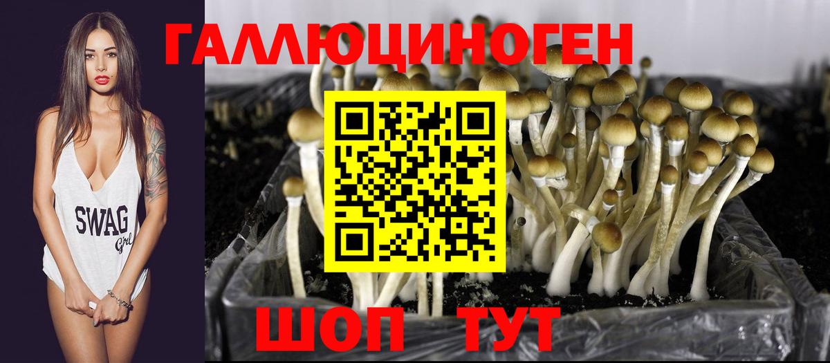 Псилоцибиновые грибы мицелий  Вход с VPN  Ахтубинск 